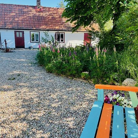 Trennegarden B&B Mjöhult Zewnętrze zdjęcie