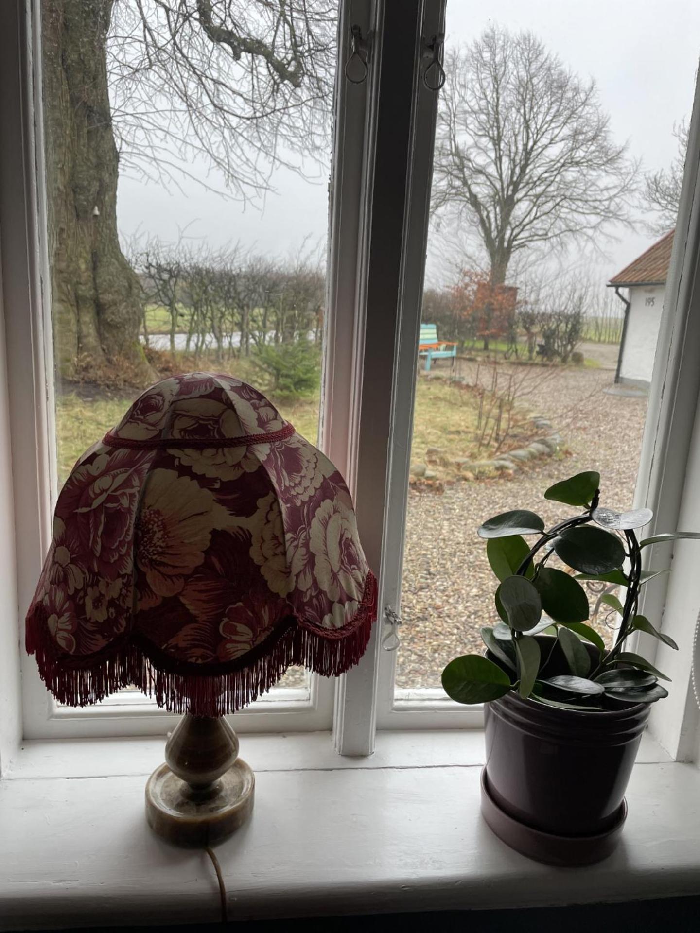 Trennegarden B&B Mjöhult Zewnętrze zdjęcie